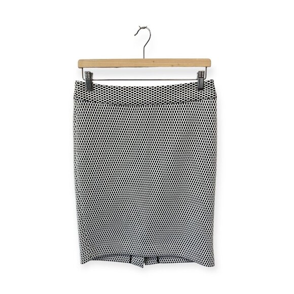 Banana Republic White and Black Mesh Pencil Skirt Size 6 - Picture 1 of 6